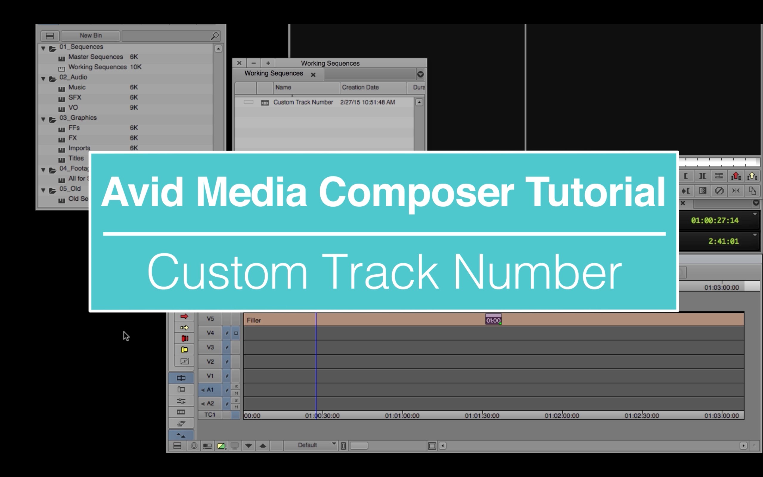 EVF Tutorial – Custom Track Number in Avid Media Composer